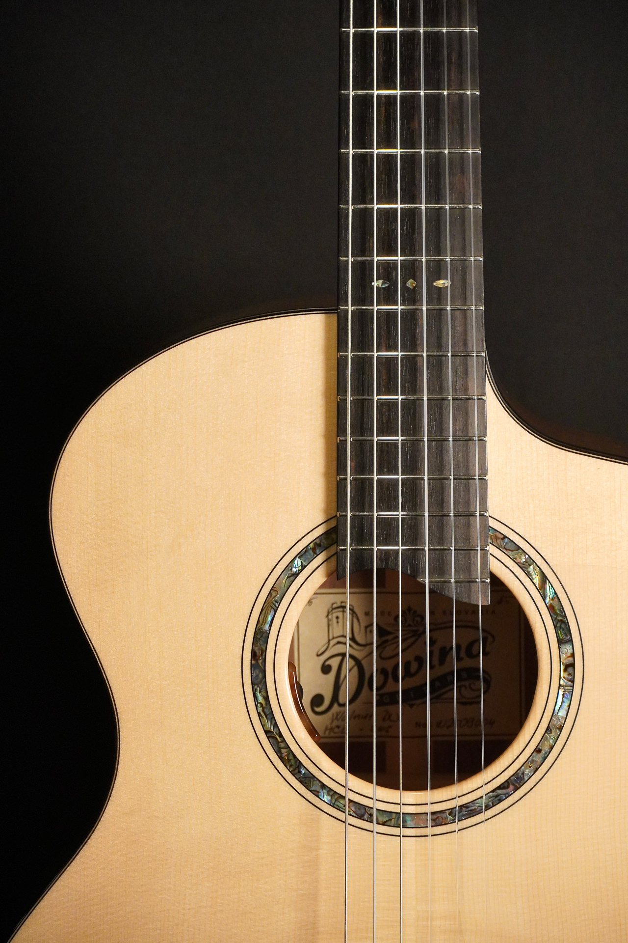 Dowina Spruce / Walnut HCE Nylon L.R.Baggs Lyric 2026 – Bild 5