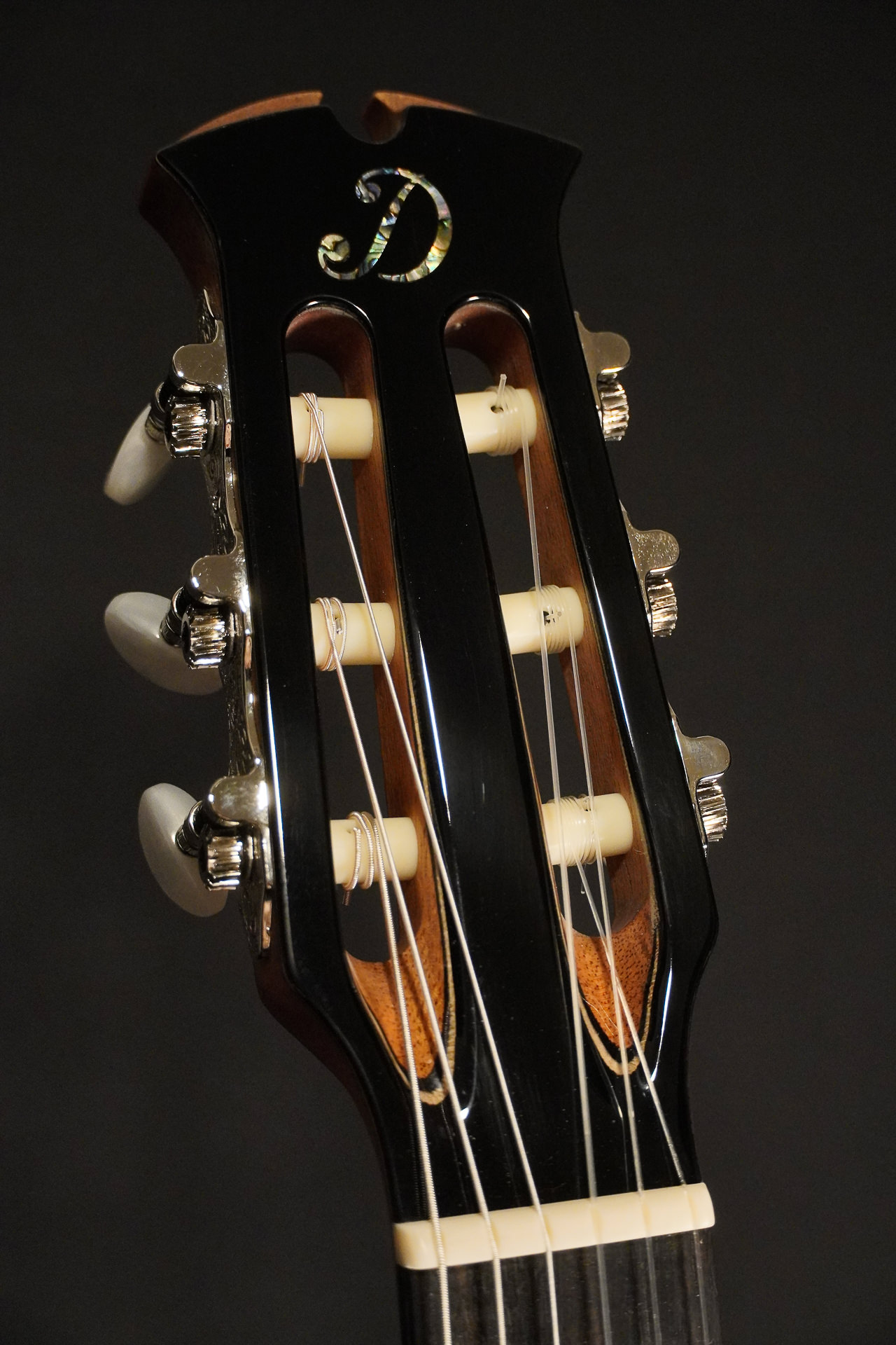 Dowina Spruce / Walnut HCE Nylon L.R.Baggs Lyric 2026 – Bild 7