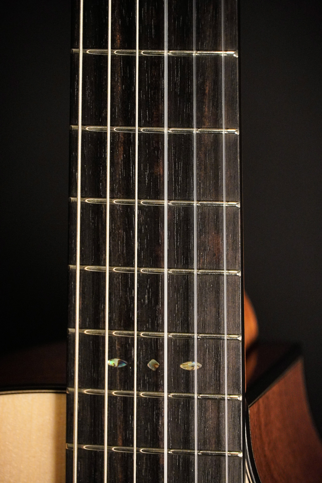 Dowina Spruce / Walnut HCE Nylon L.R.Baggs Lyric 2026 – Bild 8