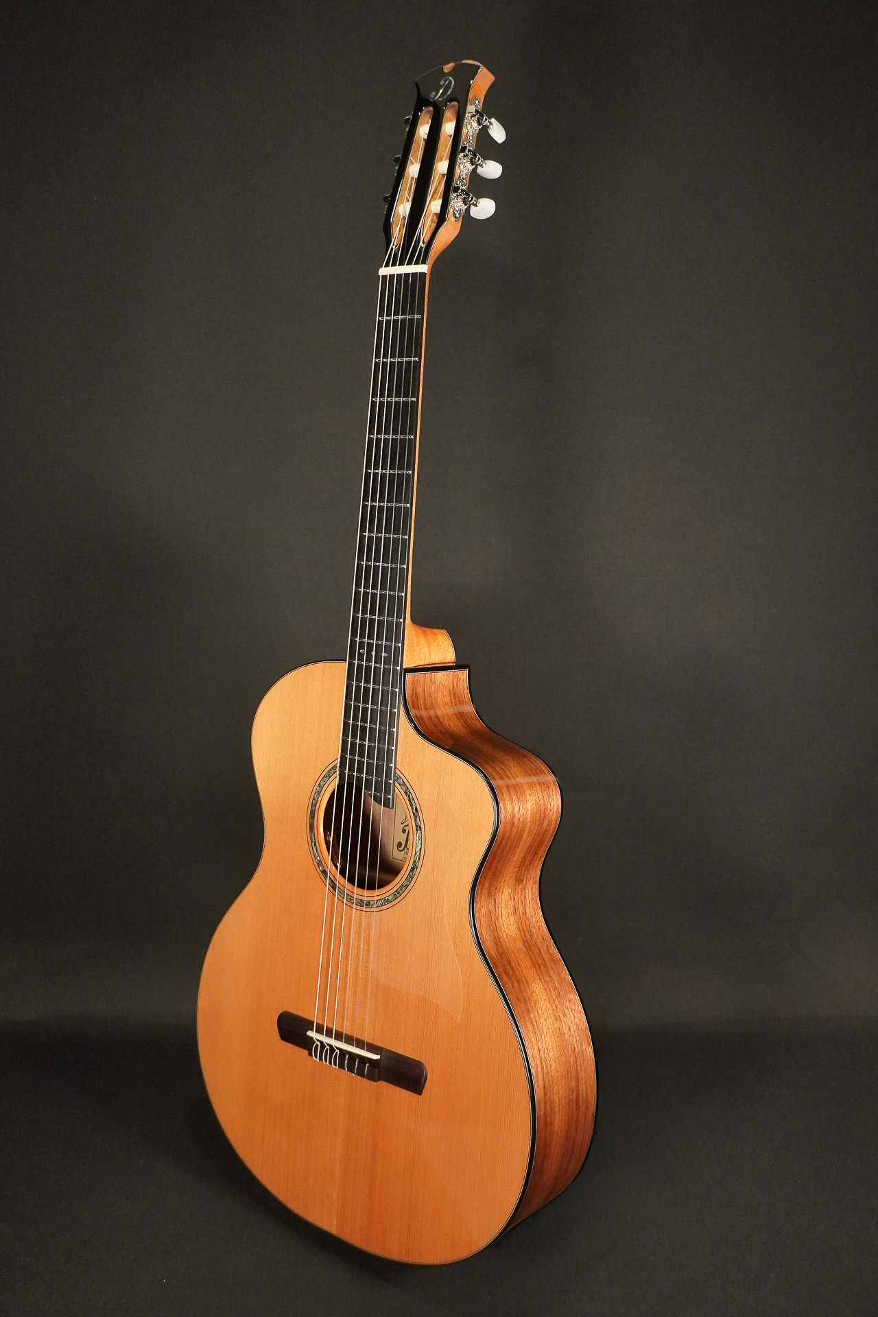 Dowina Cedar / Walnut HCE Nylon L.R.Baggs EAS VTC 2026 – Bild 3