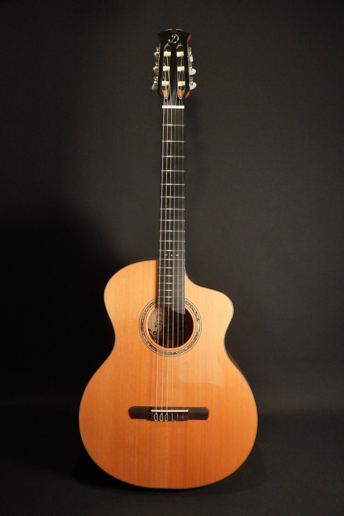 Dowina Cedar / Walnut HCE Nylon L.R.Baggs EAS VTC 2026