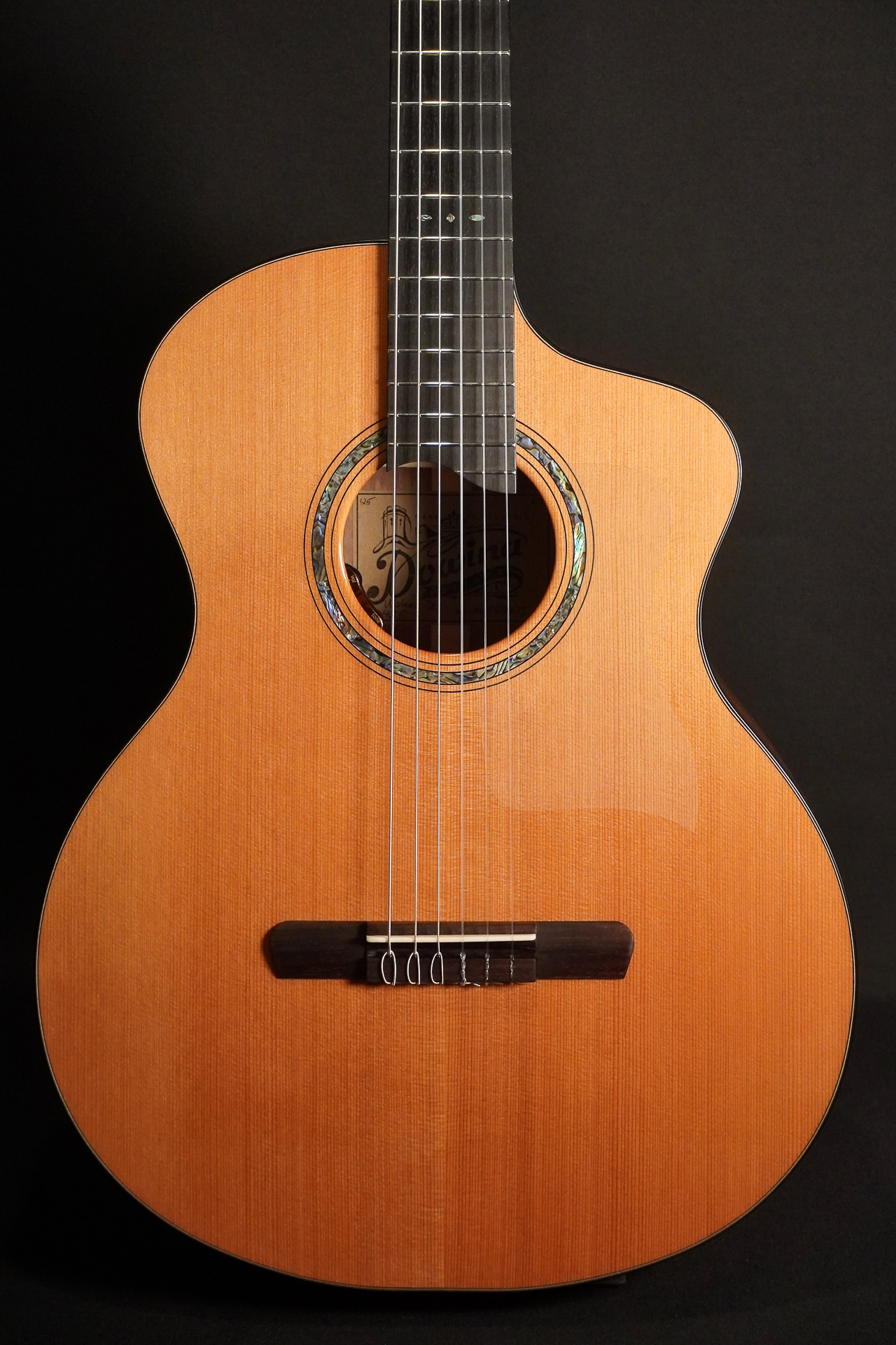 Dowina Cedar / Walnut HCE Nylon L.R.Baggs EAS VTC 2026 – Bild 7