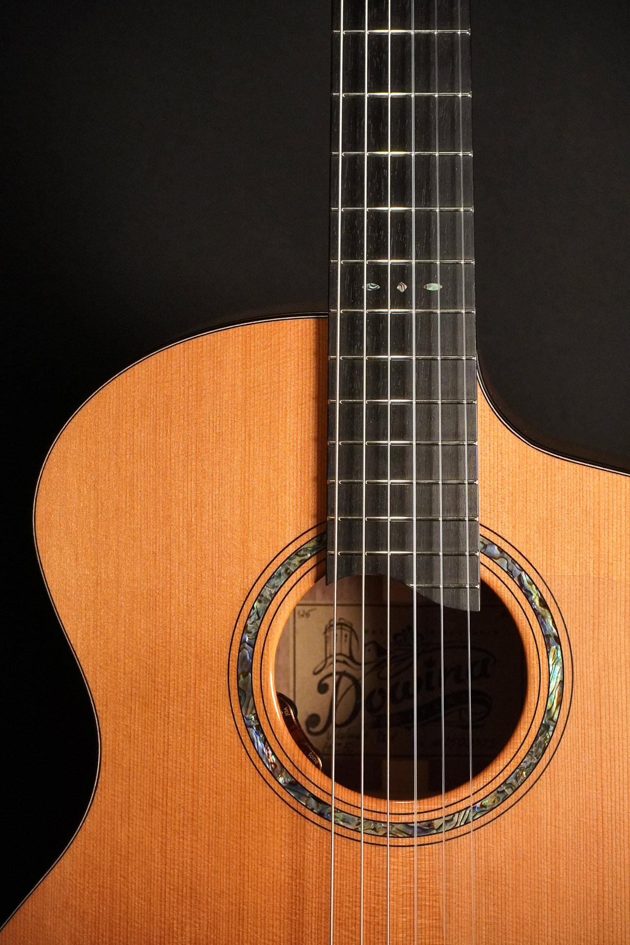 Dowina Cedar / Walnut HCE Nylon L.R.Baggs EAS VTC 2026 – Bild 8