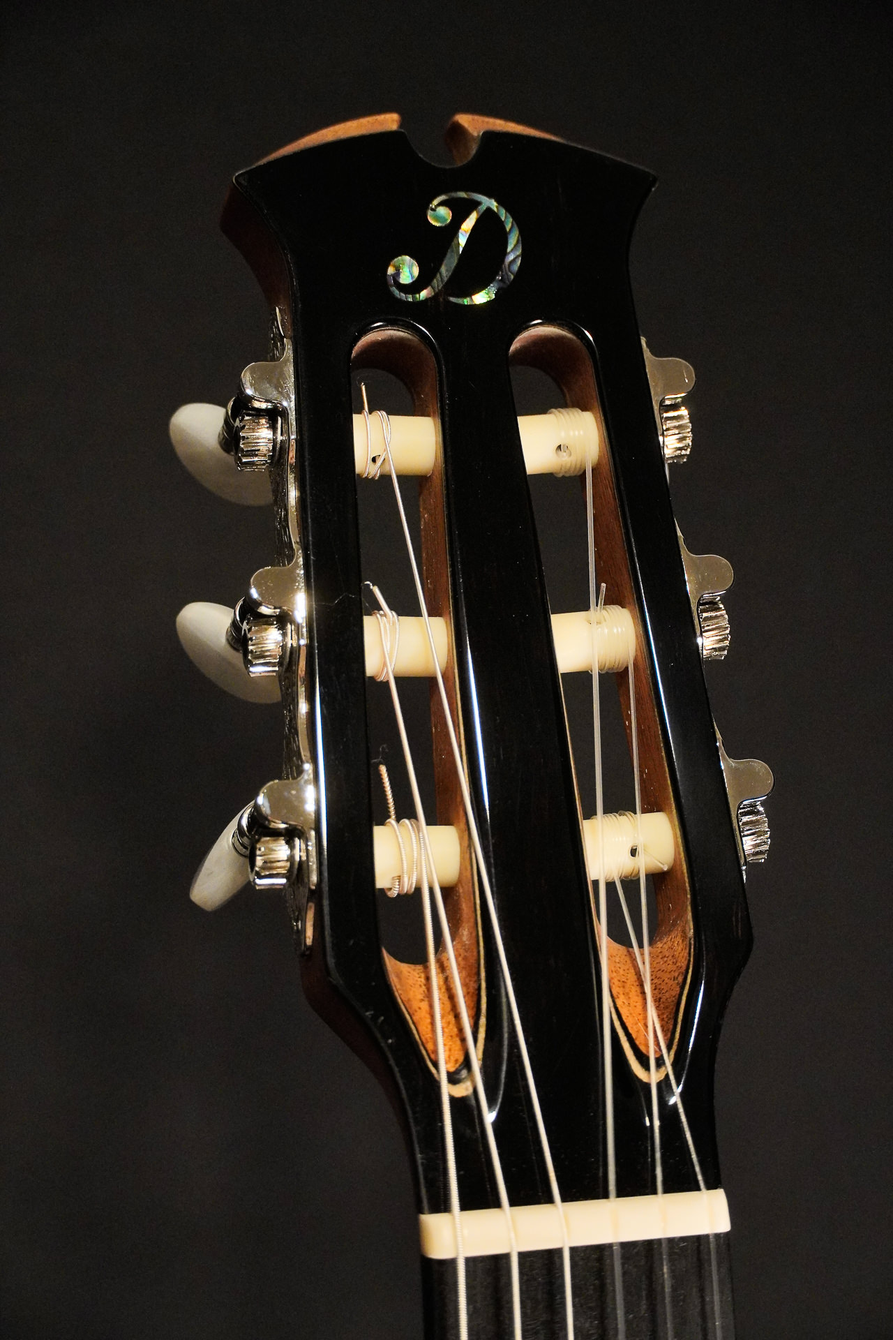 Dowina Cedar / Walnut HCE Nylon L.R.Baggs EAS VTC 2026 – Bild 9