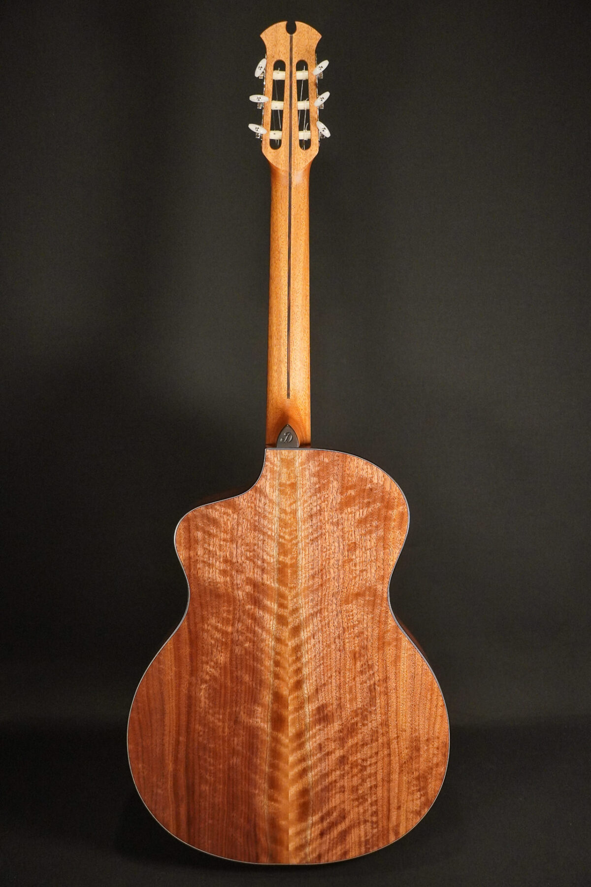 Alternative view of Dowina Cedar / Walnut HCE Nylon L.R.Baggs EAS VTC 2026