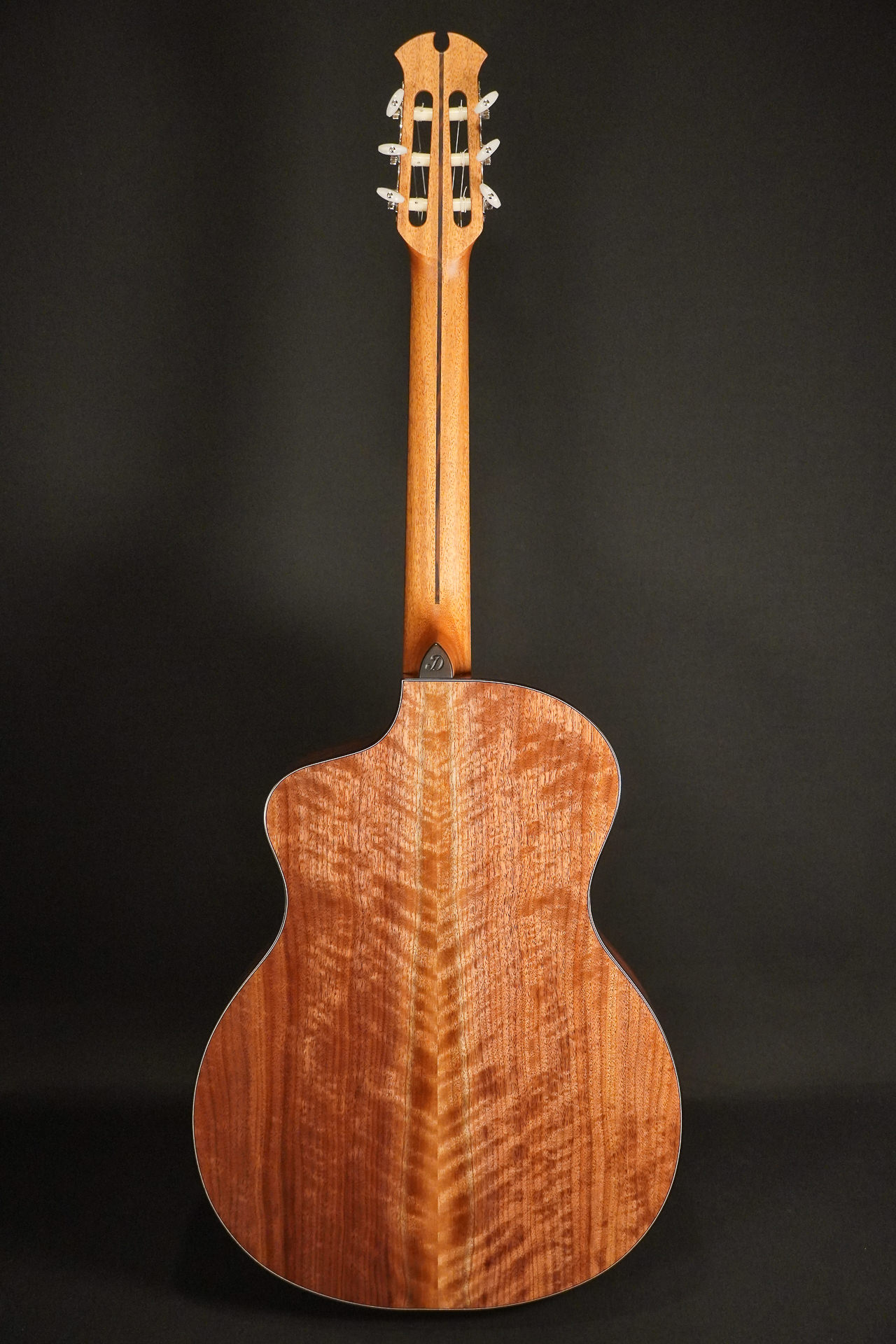 Dowina Cedar / Walnut HCE Nylon L.R.Baggs EAS VTC 2026 – Bild 2