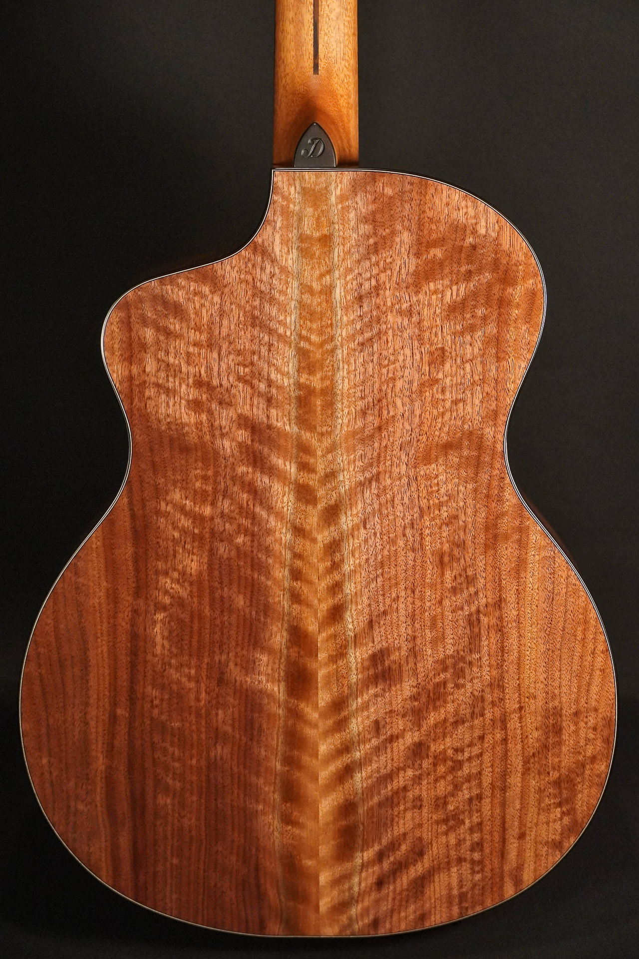 Dowina Cedar / Walnut HCE Nylon L.R.Baggs EAS VTC 2026 – Bild 10