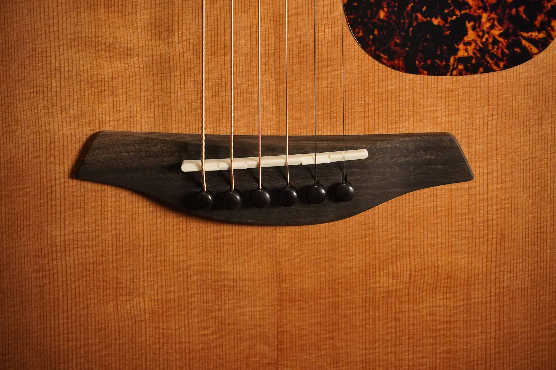 Furch Blue D-CM a 2026 – Bild 5