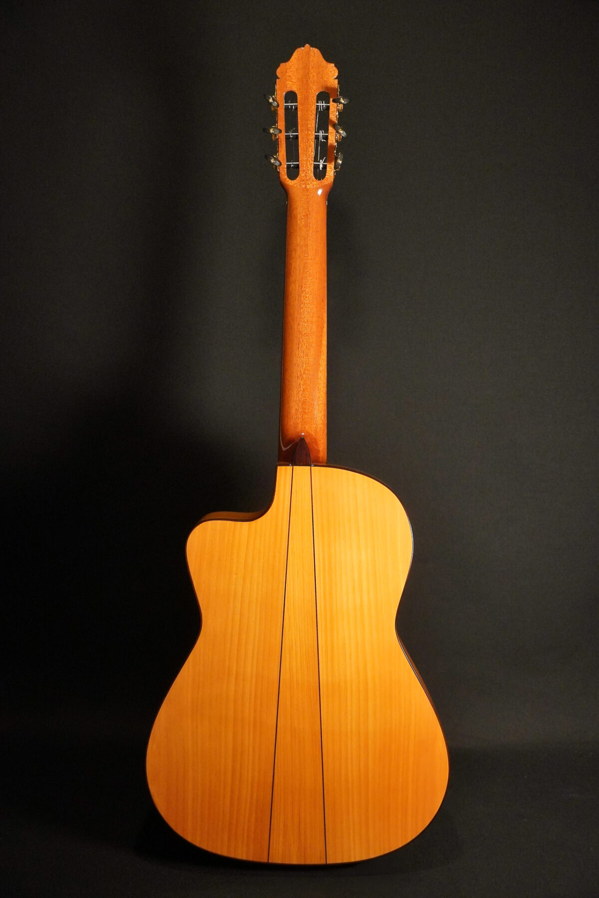 Alternative view of Esteve Gypsy Kings (By Andre Reyes) Flamenco Cut 2025