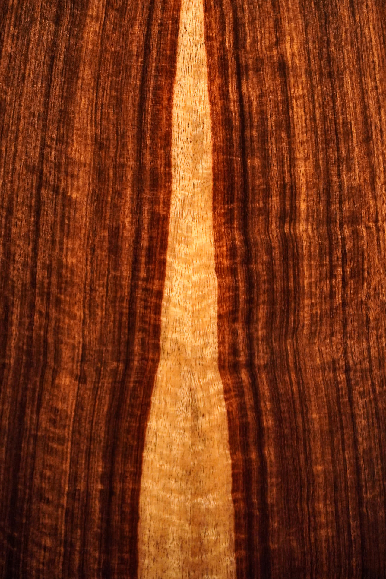 La Canada / Jellinghaus 17 Granadillo A63/49 2026 – Bild 11