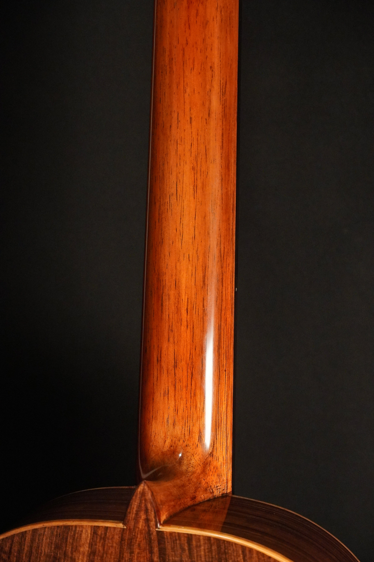 La Canada / Jellinghaus 17 Granadillo A63/49 2026 – Bild 13