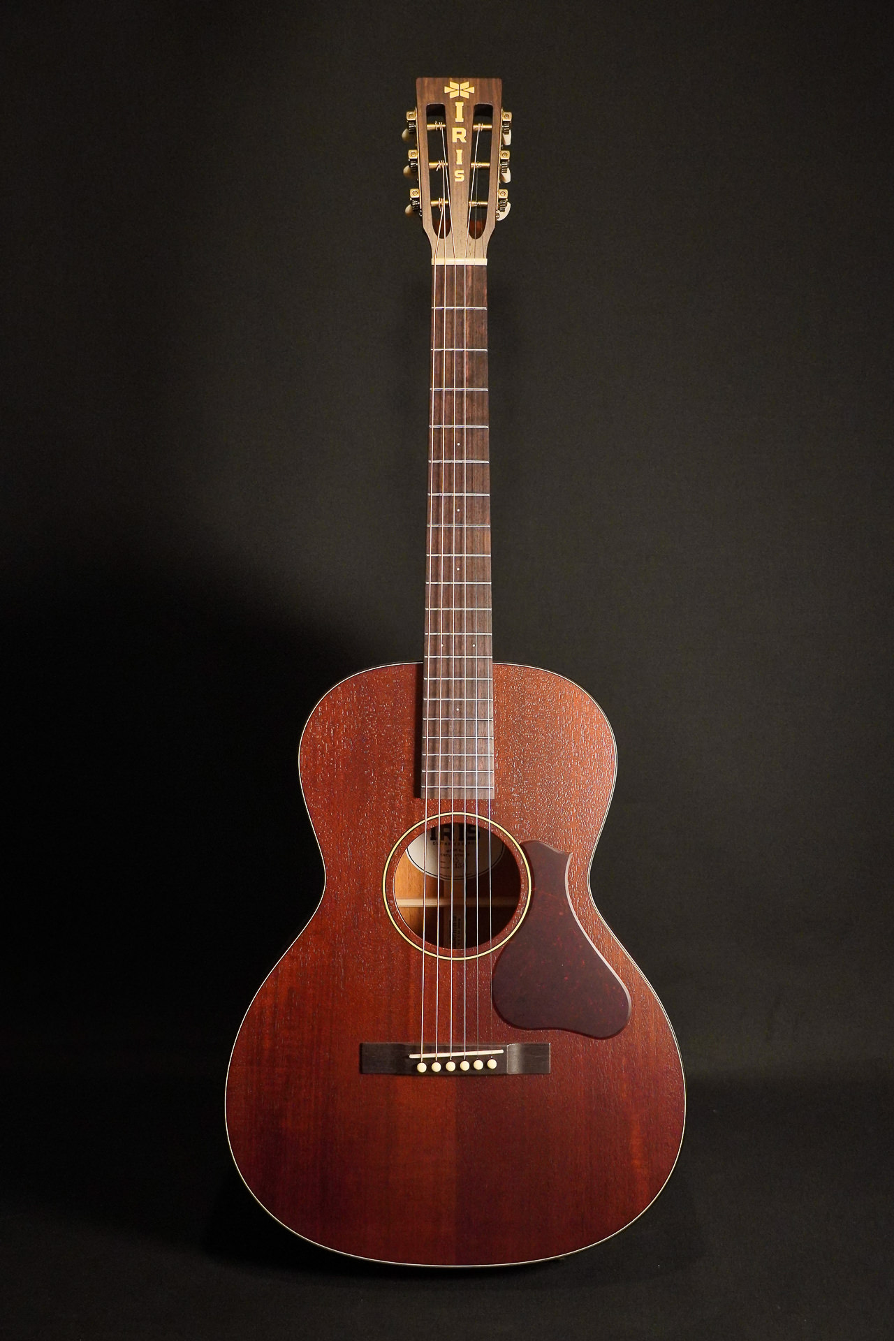 Iris MS-OO Custom Natural All Mahagony 12-Fret