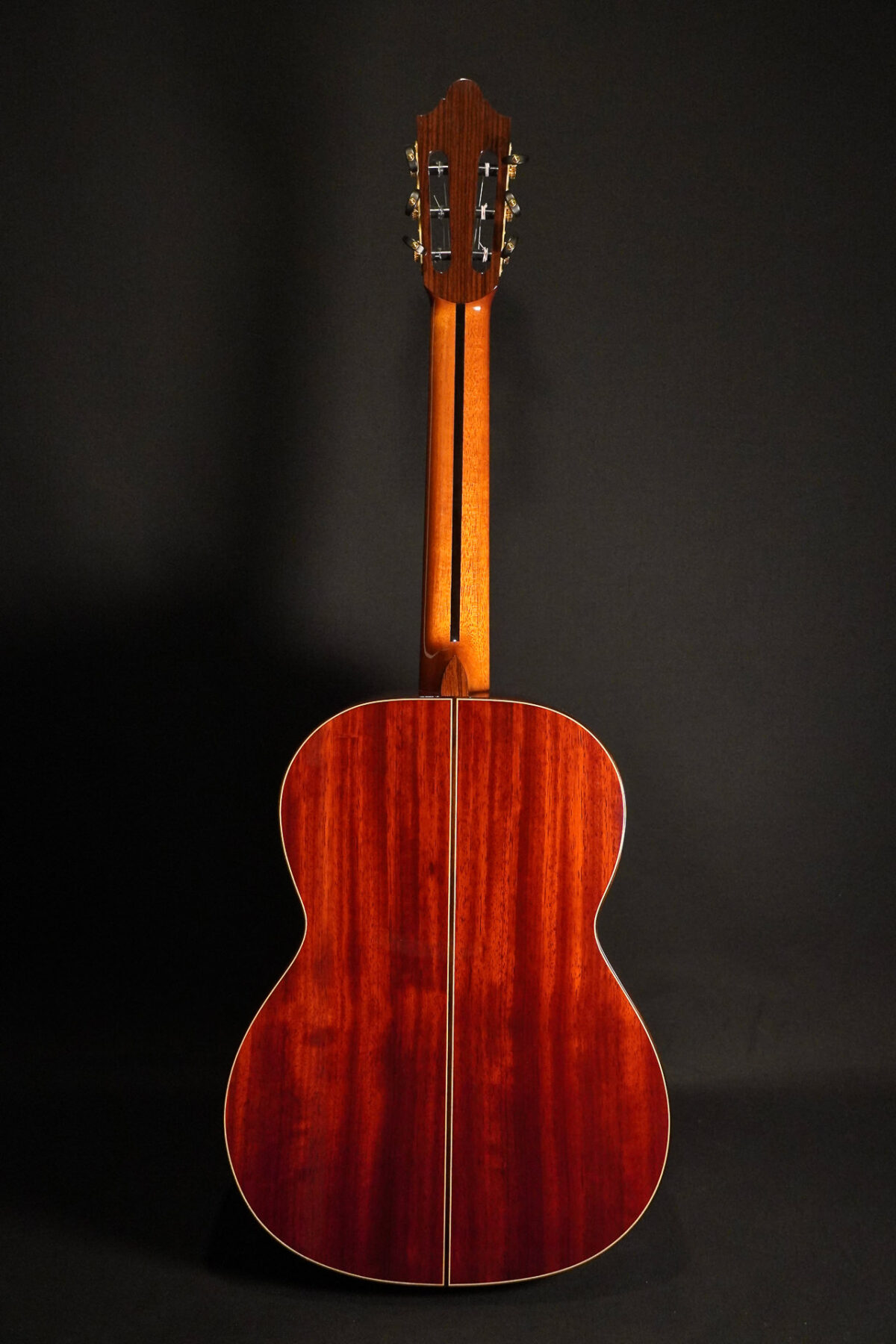 Alternative view of Duke Meister RF USED w. Misi trio Air Pickup