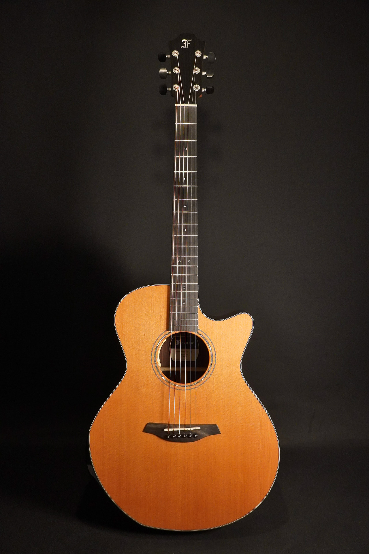 Furch Yellow Deluxe Gc-CR a L.R.Baggs Anthem