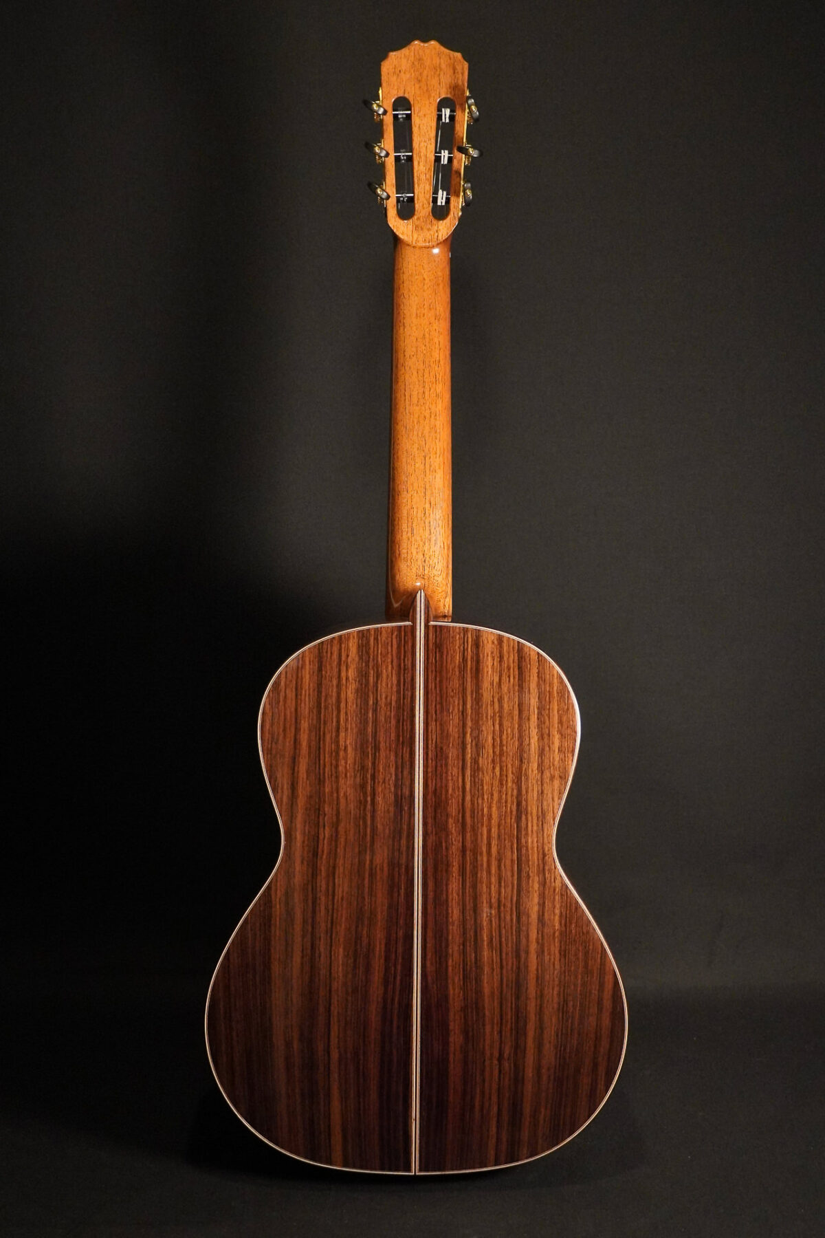 Alternative view of Pepe Romero L.R. (Lattice Raised)